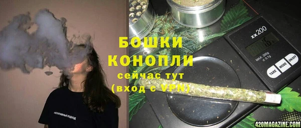 дурь Ельня