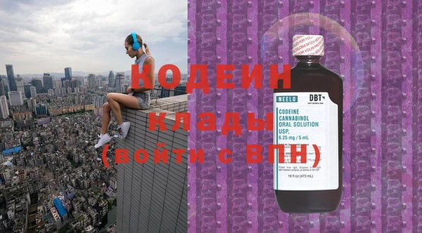 дурь Ельня