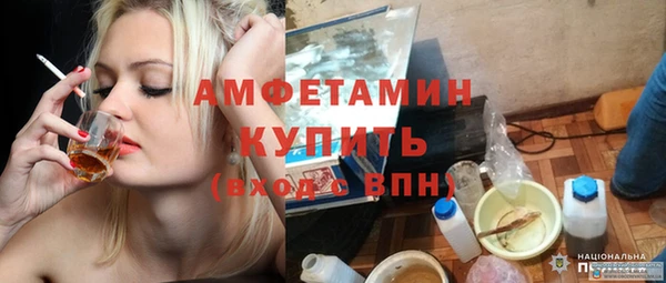 индика Елабуга