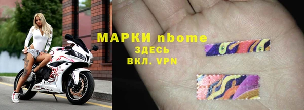 индика Елабуга