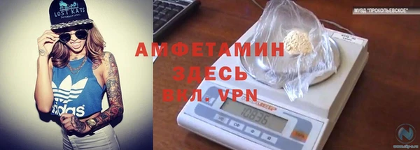 индика Елабуга