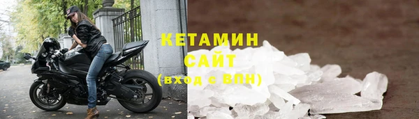 индика Елабуга