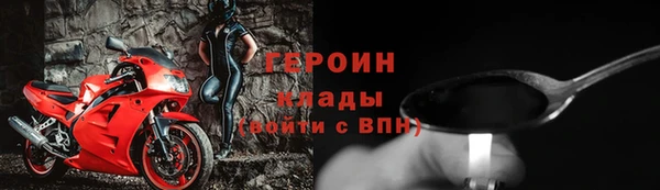 индика Елабуга