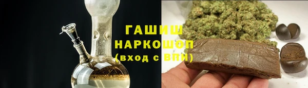 индика Елабуга