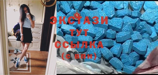 индика Елабуга