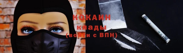 индика Елабуга