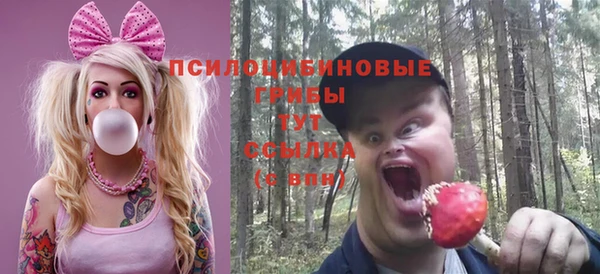 apvp Елизово