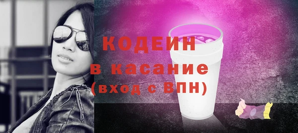 дурь Ельня