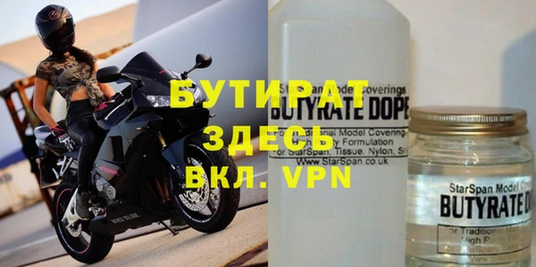 индика Елабуга