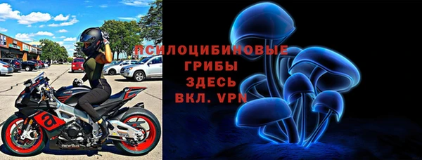 индика Елабуга