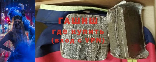 индика Елабуга