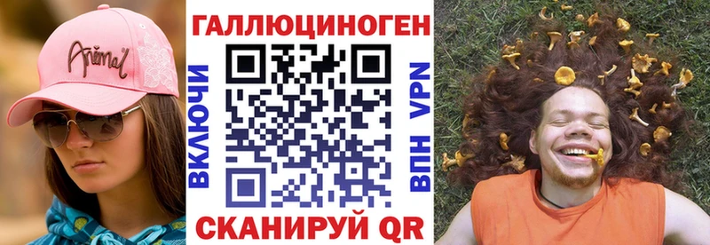 Галлюциногенные грибы Psilocybe  где купить наркотик  Салаир 